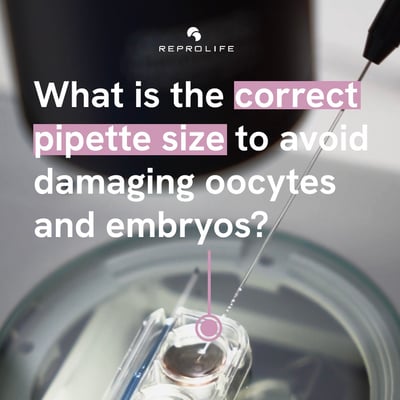Correct pippete size - repost EN 2